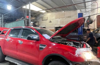 Chăm Sóc Ngoại Thất 